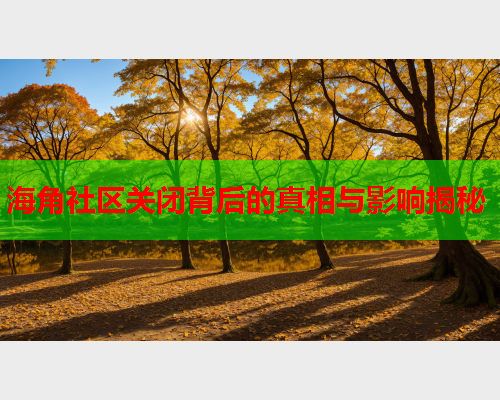 海角社区关闭背后的真相与影响揭秘  第1张